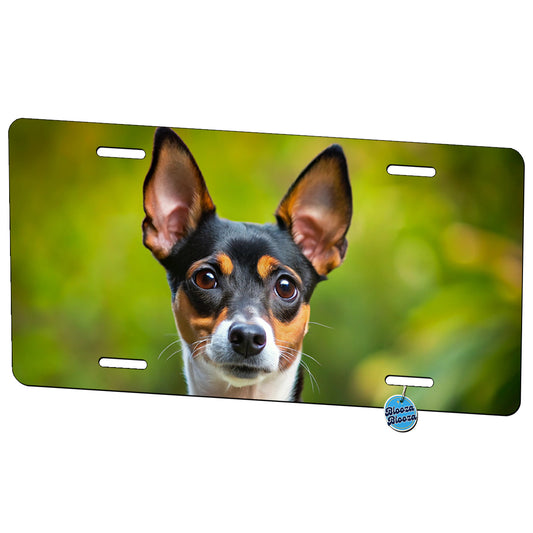 Rat Terrier Dog Photo Metal Vanity Novelty Tag License Plate for Trucks Cars SUVs