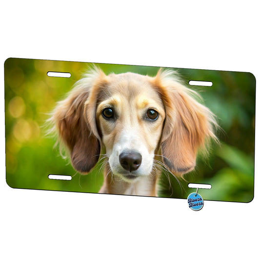 Saluki Dog Puppy Photo Metal Vanity Novelty Tag License Plate for Trucks Cars SUVs