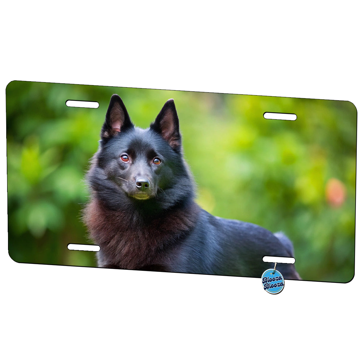 Schipperke Dog Photo Metal Vanity Novelty Tag License Plate for Trucks Cars SUVs