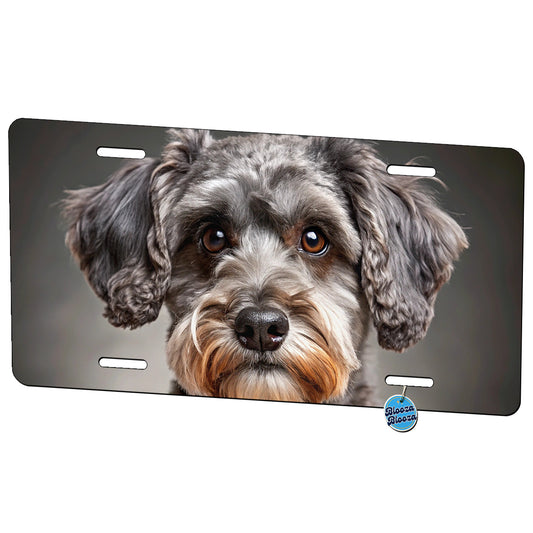 Schnoodle Dog Photo Metal Vanity Novelty Tag License Plate for Trucks Cars SUVs