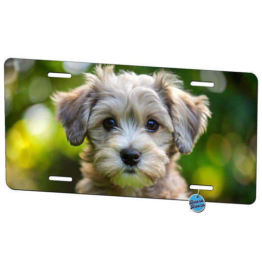 Schnoodle Dog Puppy Photo Metal Vanity Novelty Tag License Plate for Trucks Cars SUVs