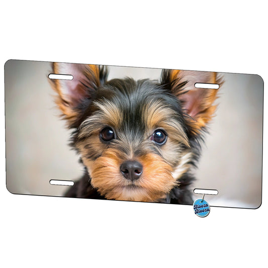 Silky Terrier Dog Puppy Photo Metal Vanity Novelty Tag License Plate for Trucks Cars SUVs