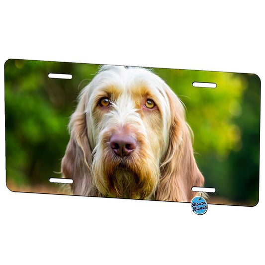 Spinone Italiano Dog Photo Metal Vanity Novelty Tag License Plate for Trucks Cars SUVs