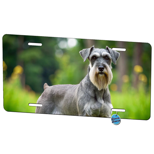Standard Schnauzer Dog Photo Metal Vanity Novelty Tag License Plate for Trucks Cars SUVs