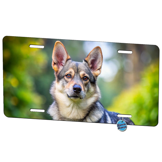 Swedish Vallhund Dog Photo Metal Vanity Novelty Tag License Plate for Trucks Cars SUVs