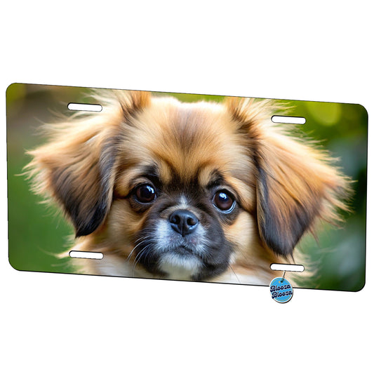 Tibetan Spaniel Dog Puppy Photo Metal Vanity Novelty Tag License Plate for Trucks Cars SUVs