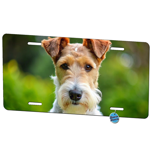 Wire Fox Terrier Dog Photo Metal Vanity Novelty Tag License Plate for Trucks Cars SUVs