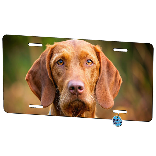 Wirehaired Vizsla Dog Photo Metal Vanity Novelty Tag License Plate for Trucks Cars SUVs