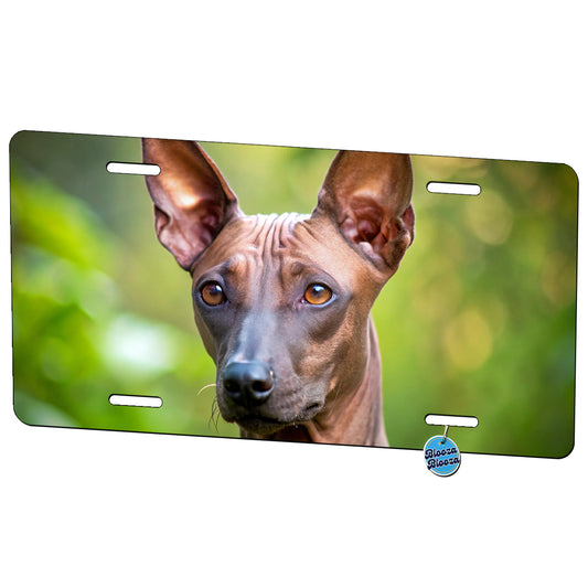 Xoloitzcuintli Xolo Mexican Hairless Dog Photo Metal Vanity Novelty Tag License Plate for Trucks Cars SUVs