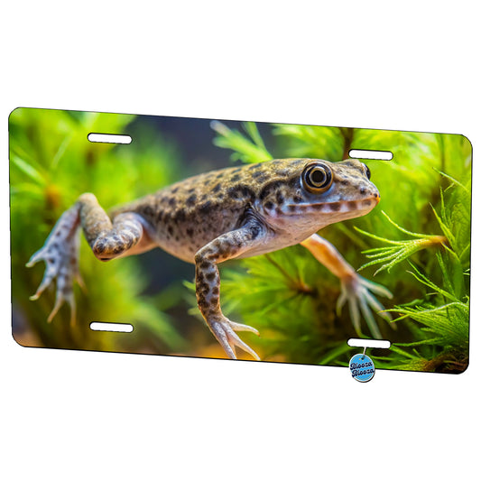 African Dwarf Frog Swimming Metal Vanity Novelty Tag License Plate for Trucks Cars SUVs