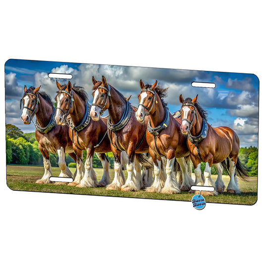 Clydesdale Horses in a Field Metal Vanity Novelty Tag License Plate for Trucks Cars SUVs