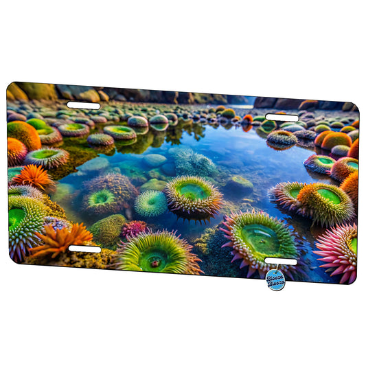 Colorful Ocean Beach Tide Pool Metal Vanity Novelty Tag License Plate for Trucks Cars SUVs