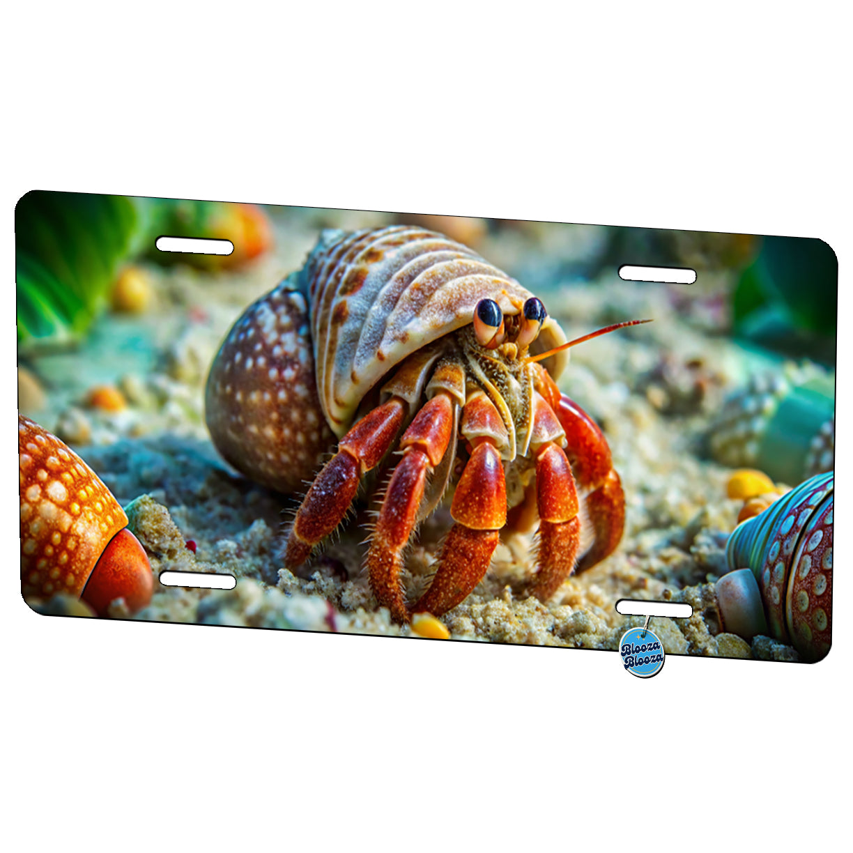 Hermit Crab in the Ocean Metal Vanity Novelty Tag License Plate for Trucks Cars SUVs