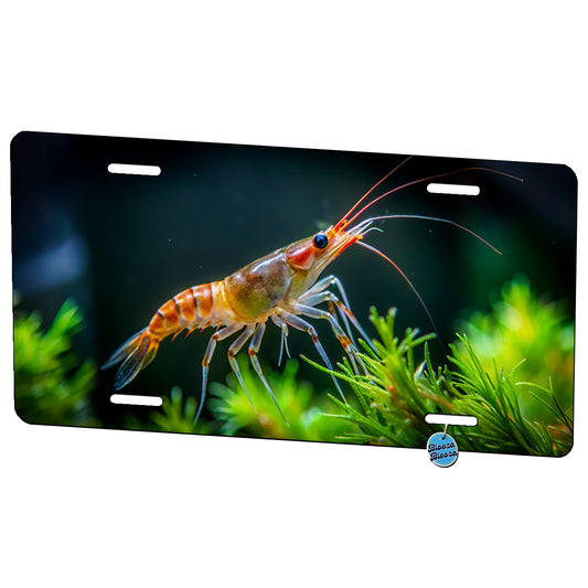 Shrimp Swimming Metal Vanity Novelty Tag License Plate for Trucks Cars SUVs