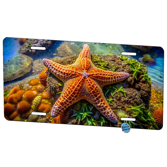 Starfish In Tide Pool Metal Vanity Novelty Tag License Plate for Trucks Cars SUVs