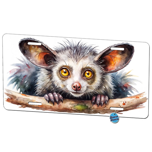 Aye Aye Long Fingered Lemur Watercolor Metal Vanity Novelty Tag License Plate for Trucks Cars SUVs
