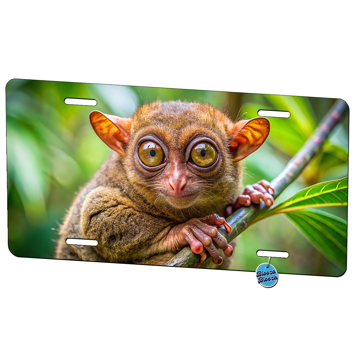 Tarsier Photograph Metal Vanity Novelty Tag License Plate for Trucks Cars SUVs