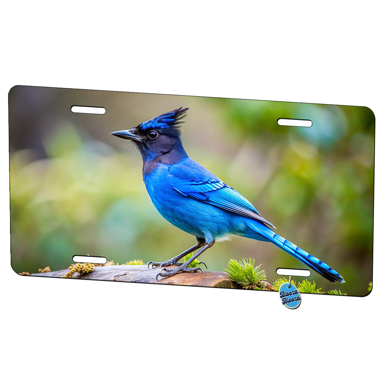 Stellar's Jay Backyard Bird Metal Vanity Novelty Tag License Plate for Trucks Cars SUVs