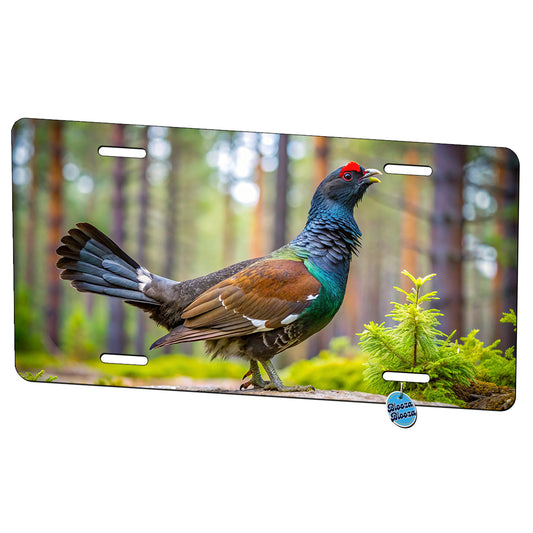 Western Capercaillie Wood Grouse Bird Metal Vanity Novelty Tag License Plate for Trucks Cars SUVs
