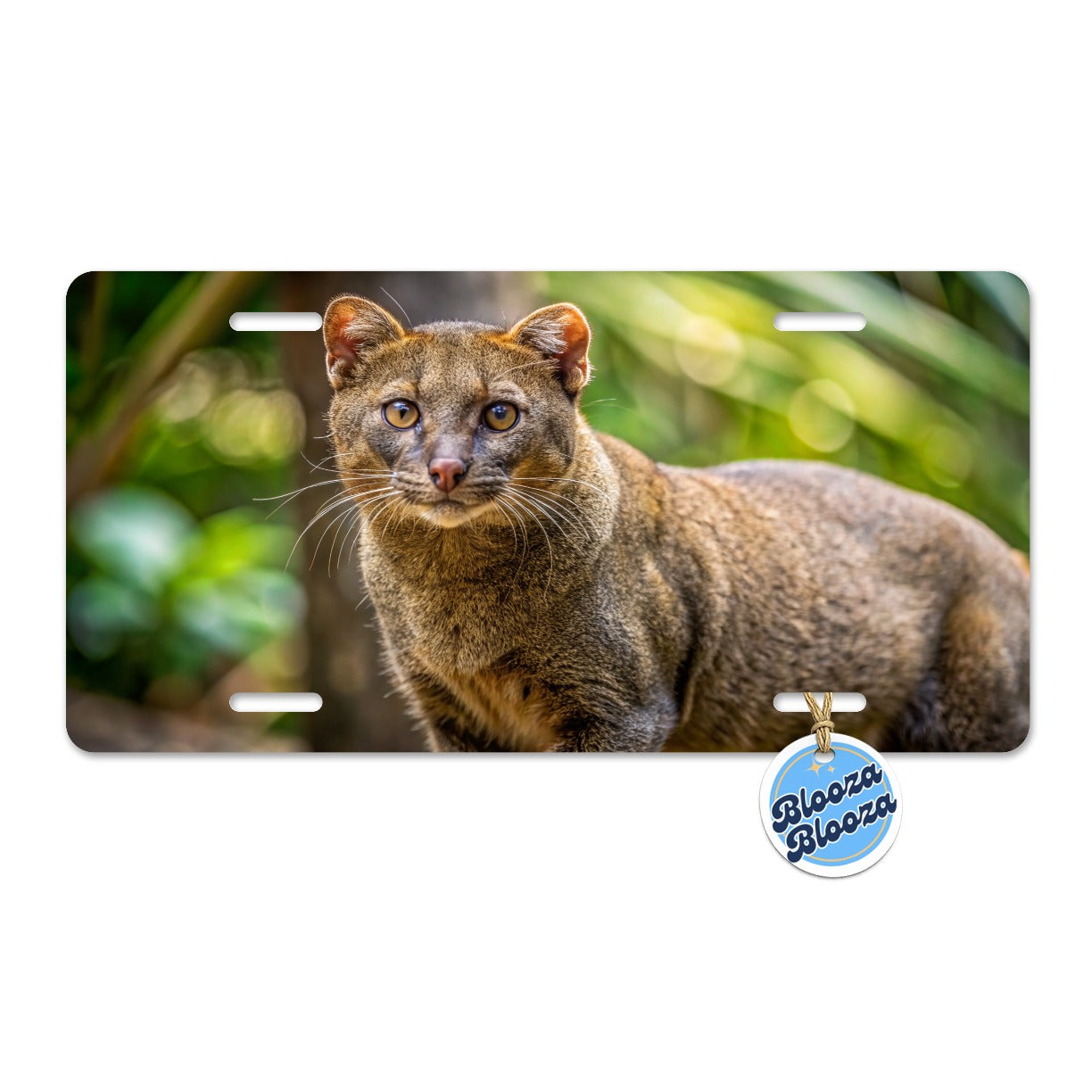 Jaguarundi Otter Cat Photo Metal Vanity Novelty Tag License Plate for Trucks Cars SUVs
