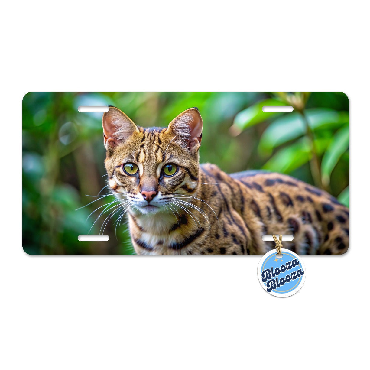 Kodkod Wild Cat Photo Metal Vanity Novelty Tag License Plate for Trucks Cars SUVs