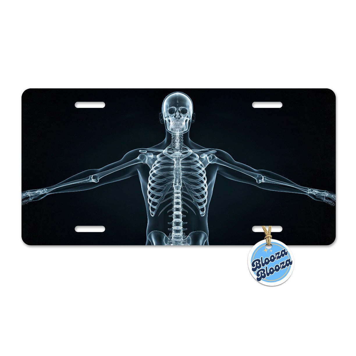 Anatomy Skeleton Xray Science Metal Vanity Novelty Tag License Plate for Trucks Cars SUVs