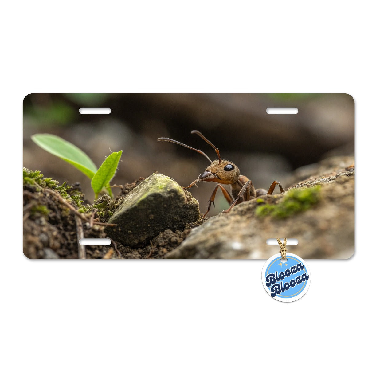 Ant Insect Nature Photo Metal Vanity Novelty Tag License Plate for Trucks Cars SUVs