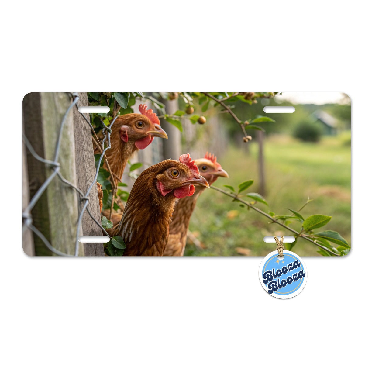 Backyard Chickens Farm Life Metal Vanity Novelty Tag License Plate for Trucks Cars SUVs
