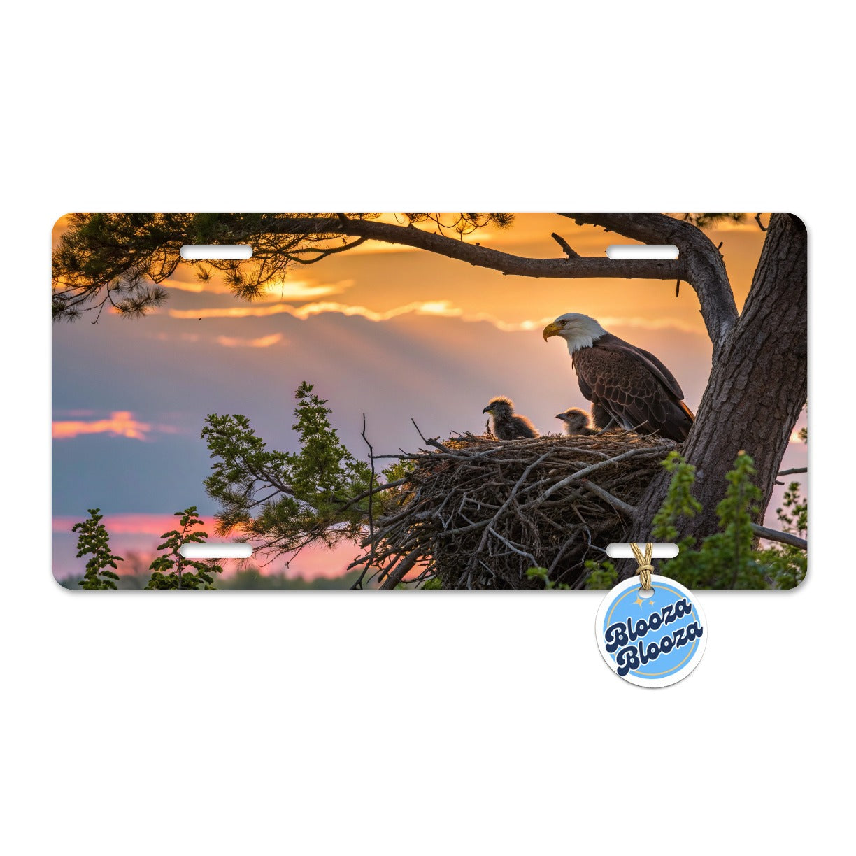 Bald Eagle Babies In Nest Sunset Metal Vanity Novelty Tag License Plate for Trucks Cars SUVs