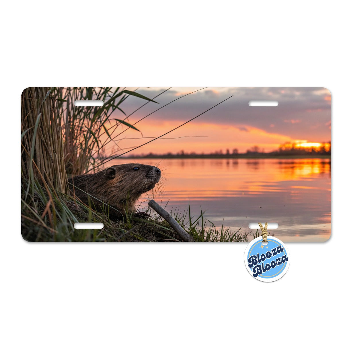 Beaver Pond At Sunset Metal Vanity Novelty Tag License Plate for Trucks Cars SUVs