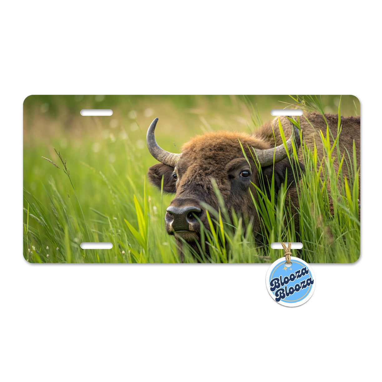 Bison Grassland Wildlife Scene Metal Vanity Novelty Tag License Plate for Trucks Cars SUVs