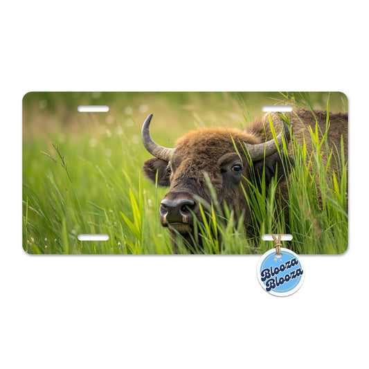 Bison Grassland Wildlife Scene Metal Vanity Novelty Tag License Plate for Trucks Cars SUVs