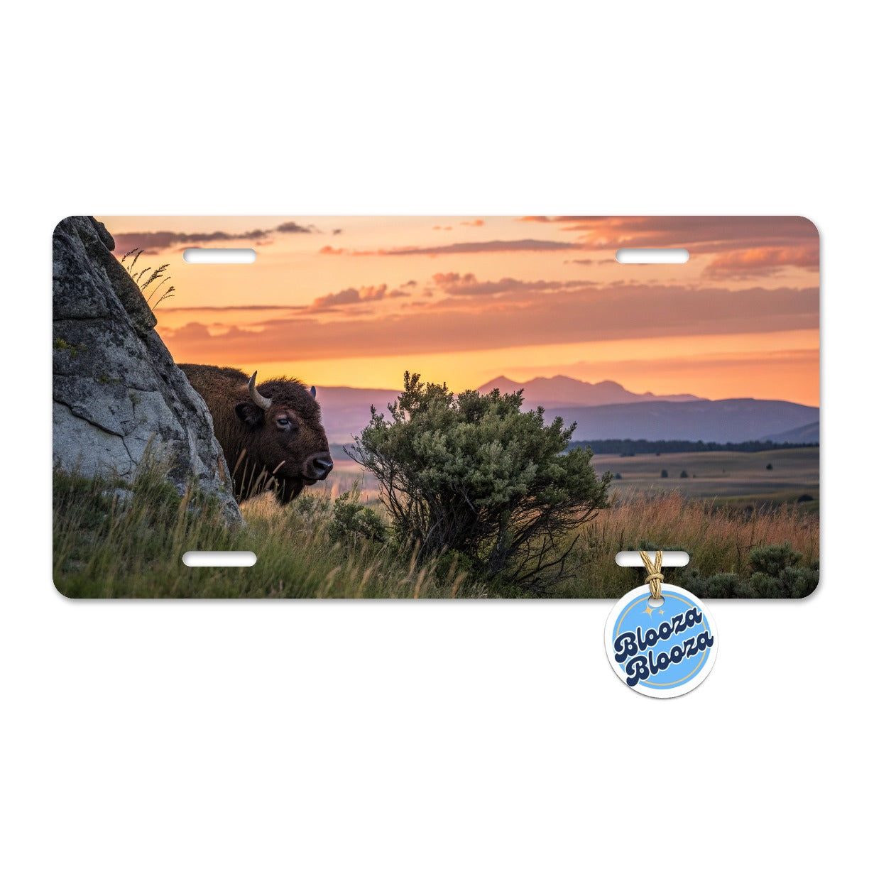Bison Wildlife At Sunset Metal Vanity Novelty Tag License Plate for Trucks Cars SUVs
