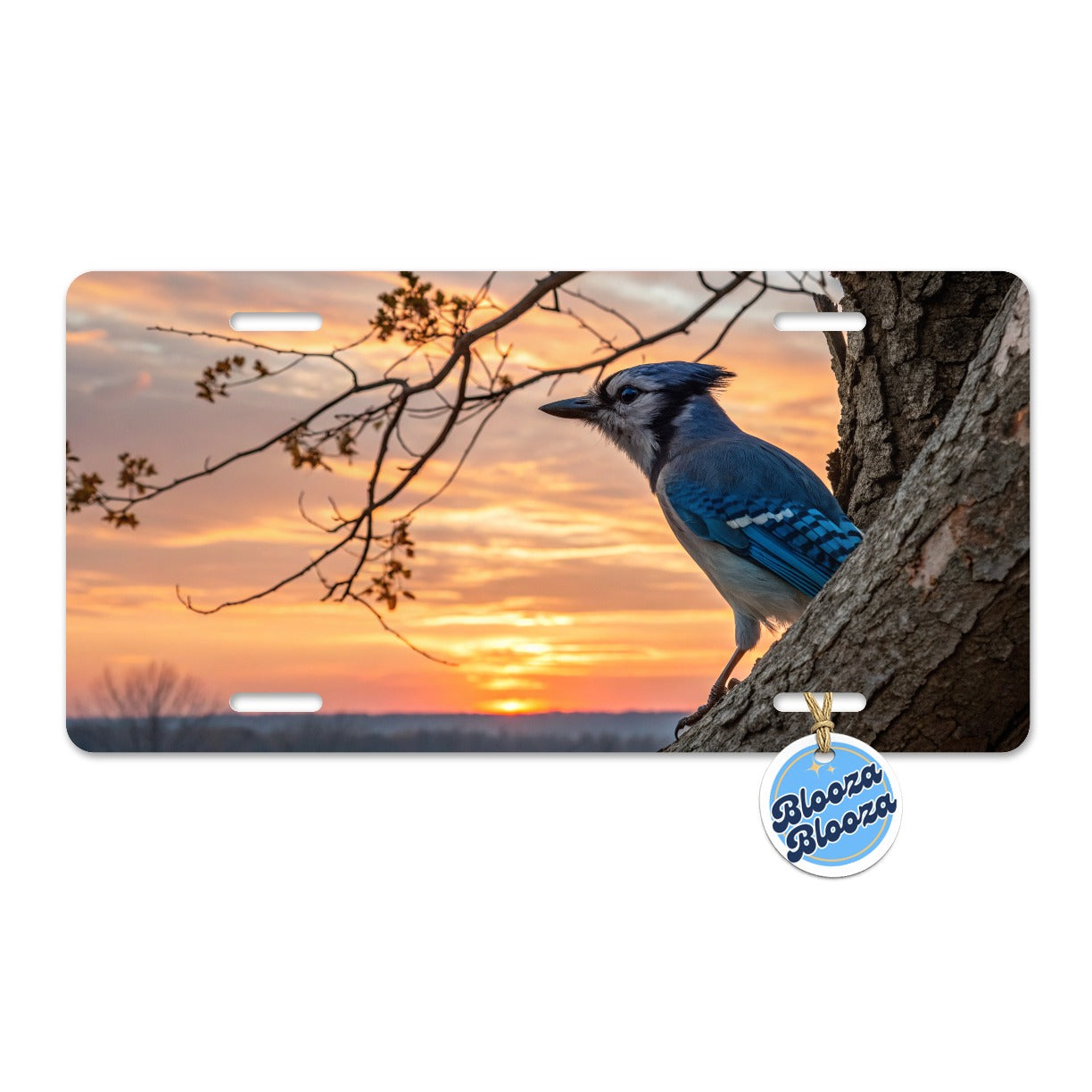 Blue Jay At Sunset Metal Vanity Novelty Tag License Plate for Trucks Cars SUVs