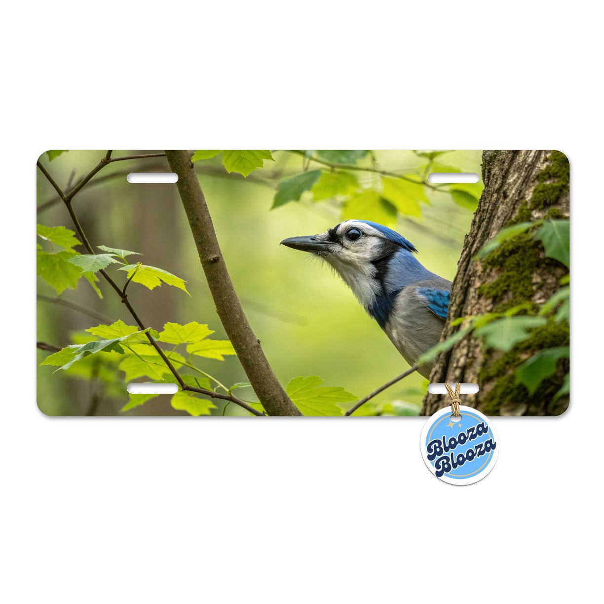 Blue Jay Bird Wildlife Metal Vanity Novelty Tag License Plate for Trucks Cars SUVs