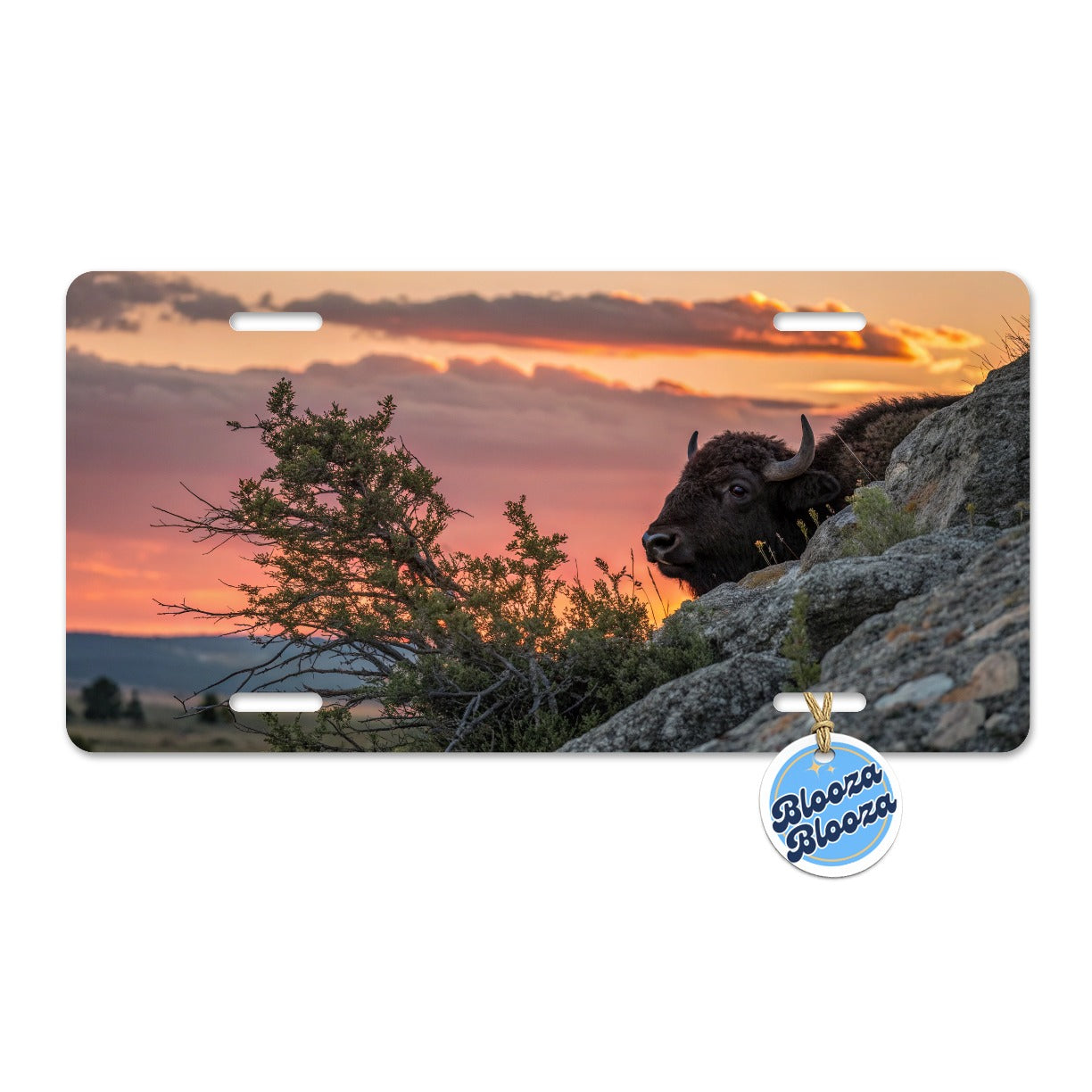 Buffalo At Sunset Metal Vanity Novelty Tag License Plate for Trucks Cars SUVs