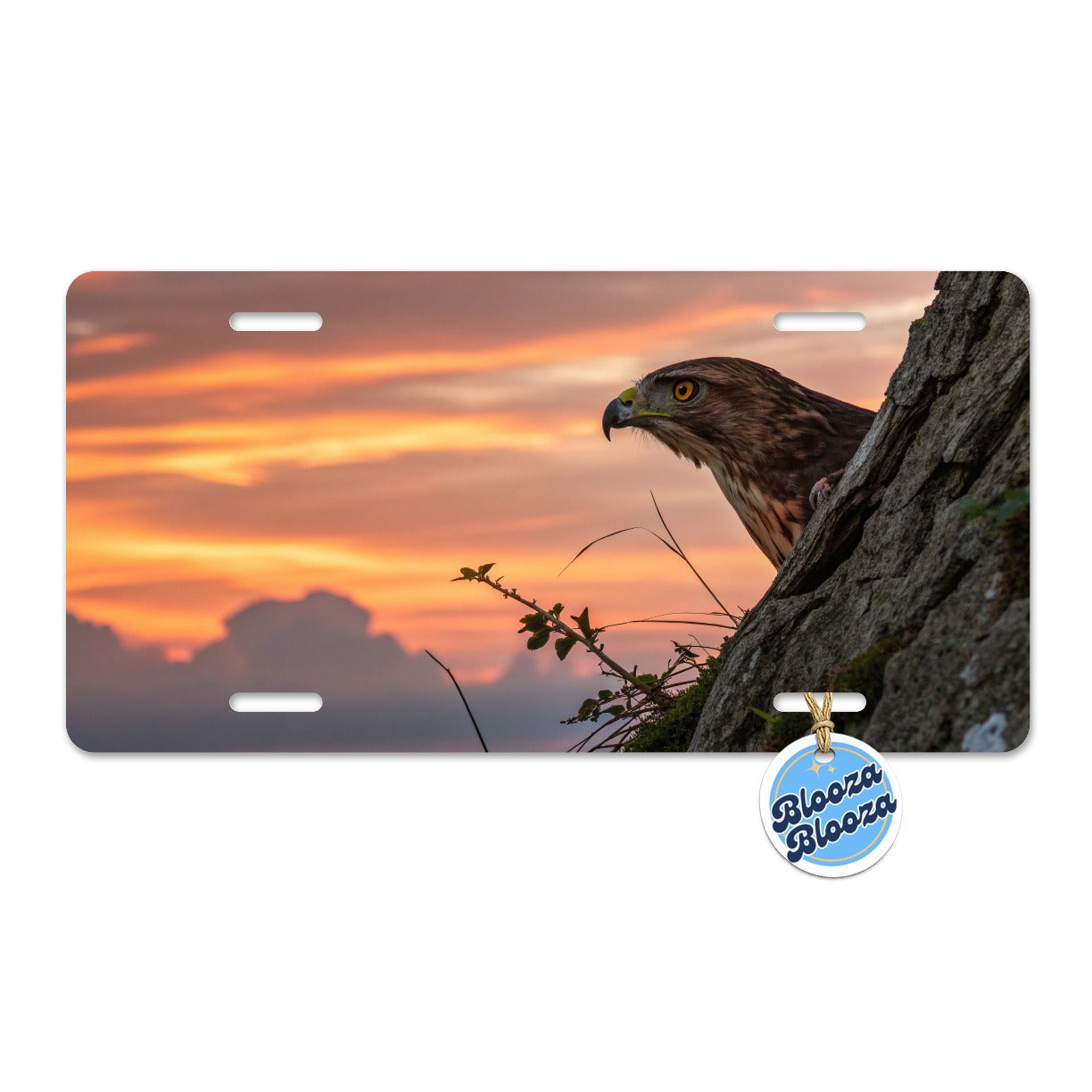 Buzzard Bird At Sunset Metal Vanity Novelty Tag License Plate for Trucks Cars SUVs