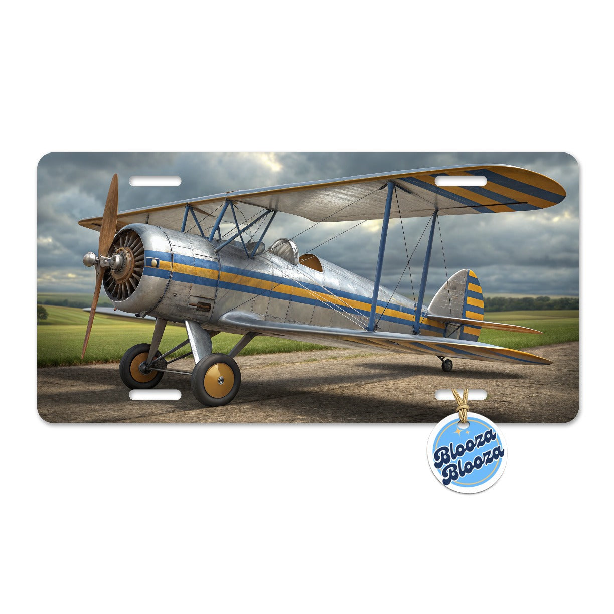 Classic Biplane Vintage Aircraft Metal Vanity Novelty Tag License Plate for Trucks Cars SUVs