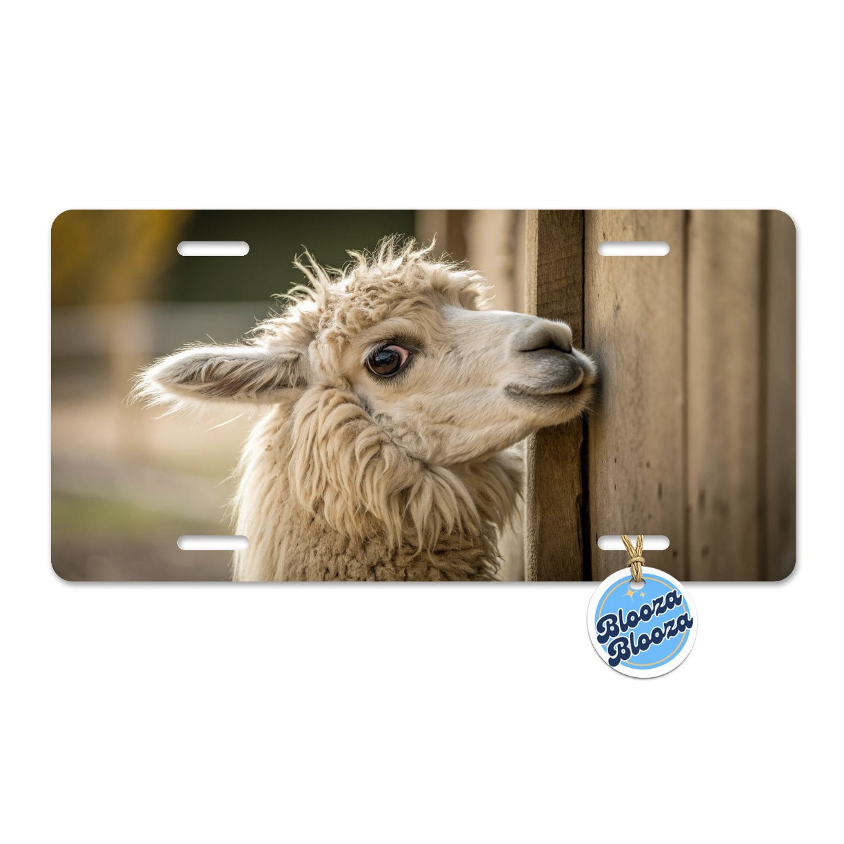 Curious Alpaca Close Up Metal Vanity Novelty Tag License Plate for Trucks Cars SUVs