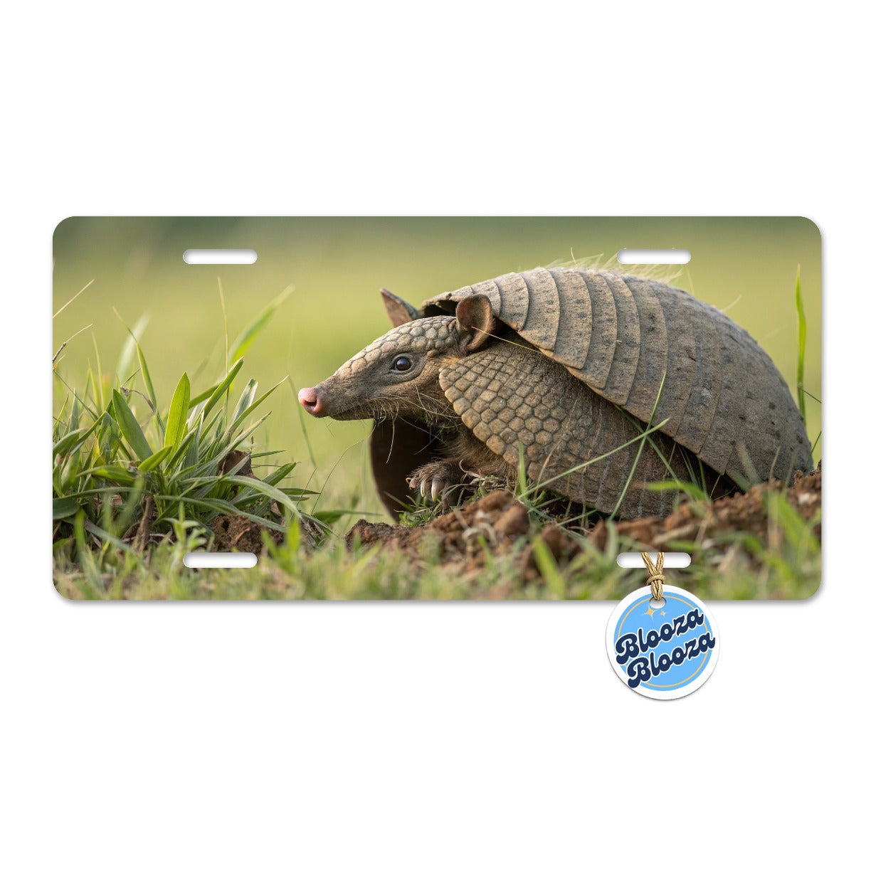 Curious Armadillo Wildlife Nature Metal Vanity Novelty Tag License Plate for Trucks Cars SUVs