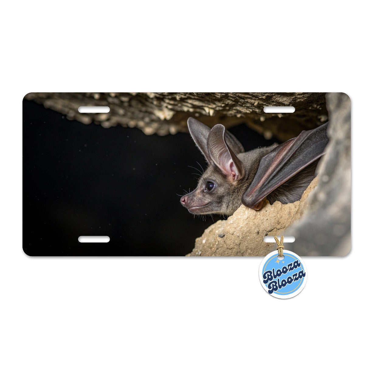 Curious Bat Cave Wildlife Metal Vanity Novelty Tag License Plate for Trucks Cars SUVs