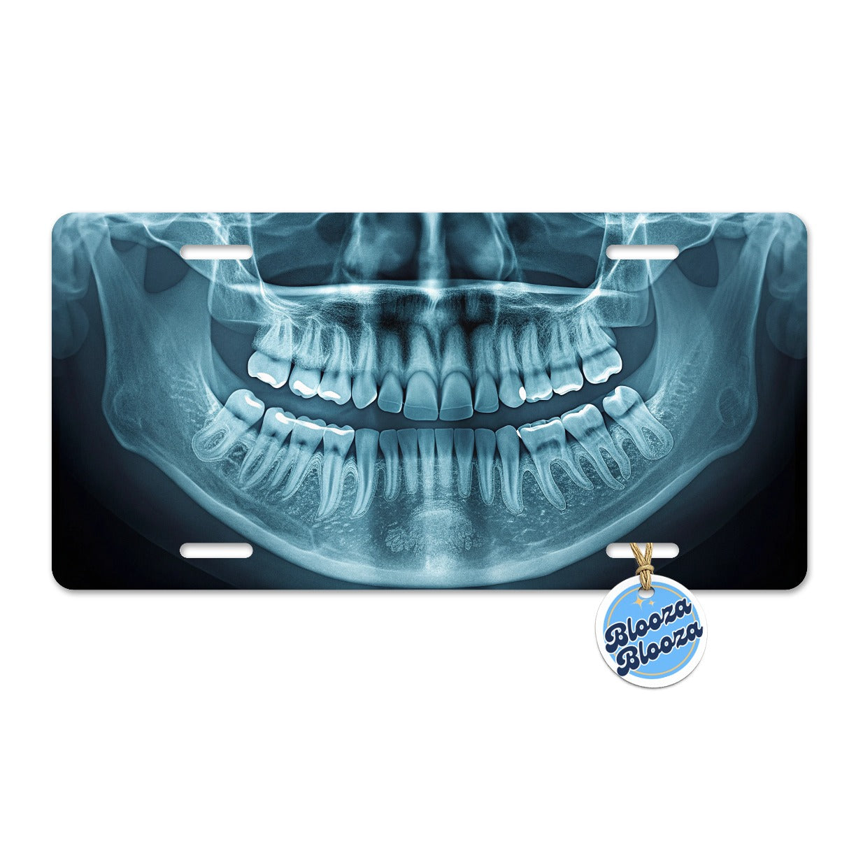 Dental X-Ray Mouth Teeth Dentist Metal Vanity Novelty Tag License Plate for Trucks Cars SUVs