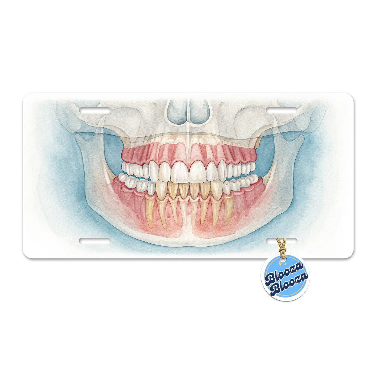 Dental X-Ray Teeth Dentist Metal Vanity Novelty Tag License Plate for Trucks Cars SUVs