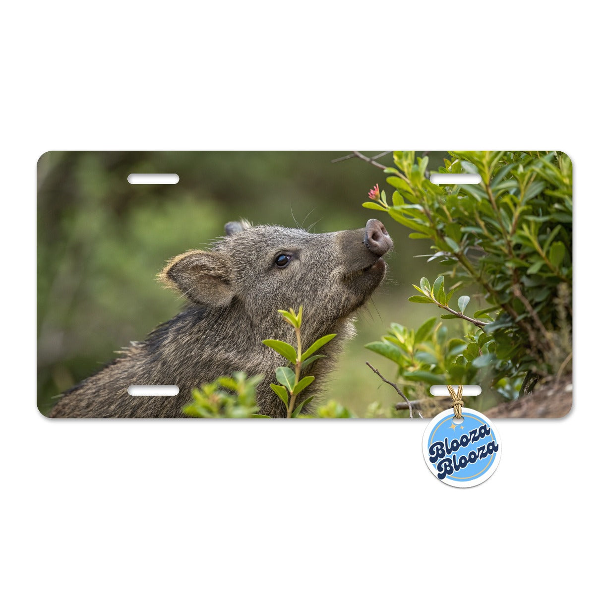 Javelina Woodland Metal Vanity Novelty Tag License Plate for Trucks Cars SUVs