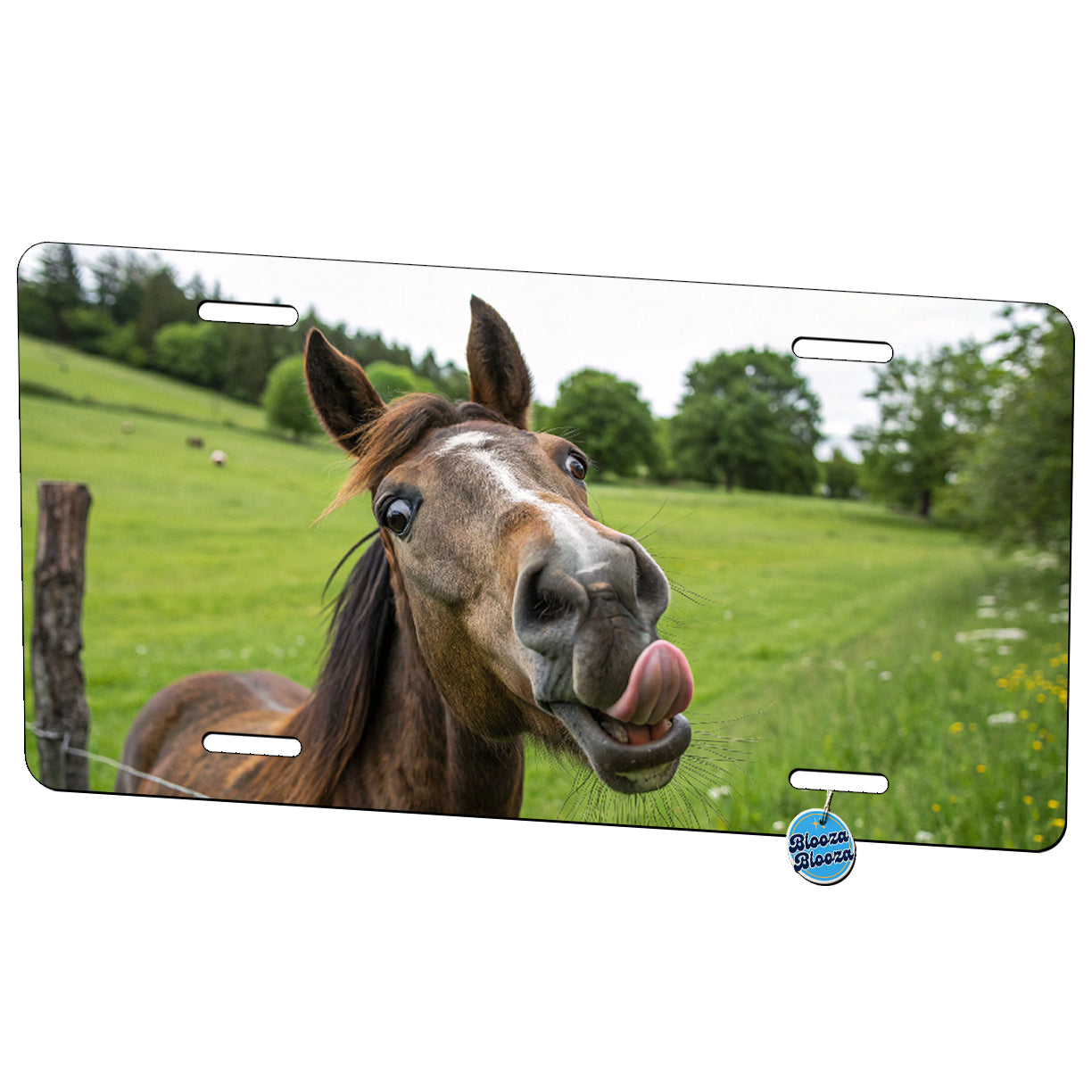 Funny Horse Licking Lips Metal Vanity Novelty Tag License Plate for Trucks Cars SUVs