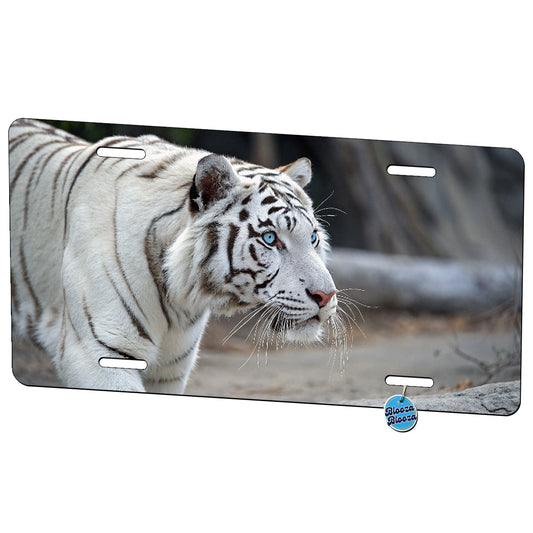 White Tiger Blue Eyes Staring Metal Vanity Novelty Tag License Plate for Trucks Cars SUVs