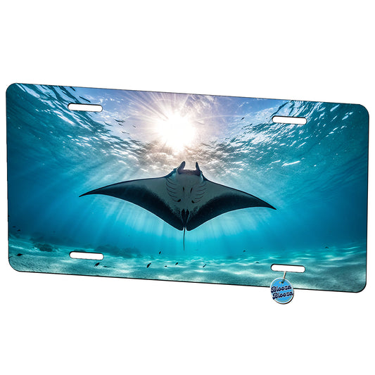 Beautiful Manta Ray Metal Vanity Novelty Tag License Plate for Trucks Cars SUVs