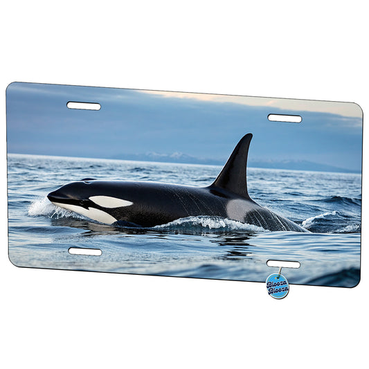 Beautiful Orca Killer Whale Metal Vanity Novelty Tag License Plate for Trucks Cars SUVs