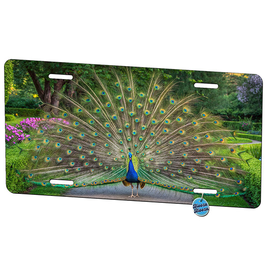 Beautiful Peacock Metal Vanity Novelty Tag License Plate for Trucks Cars SUVs