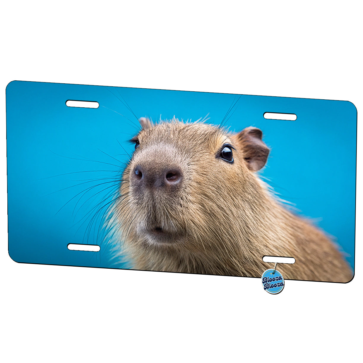 Capybara Face Blue Background Metal Vanity Novelty Tag License Plate for Trucks Cars SUVs